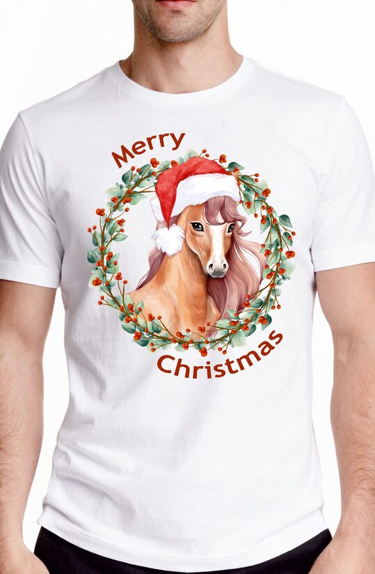 Merry Christmas 2025_2